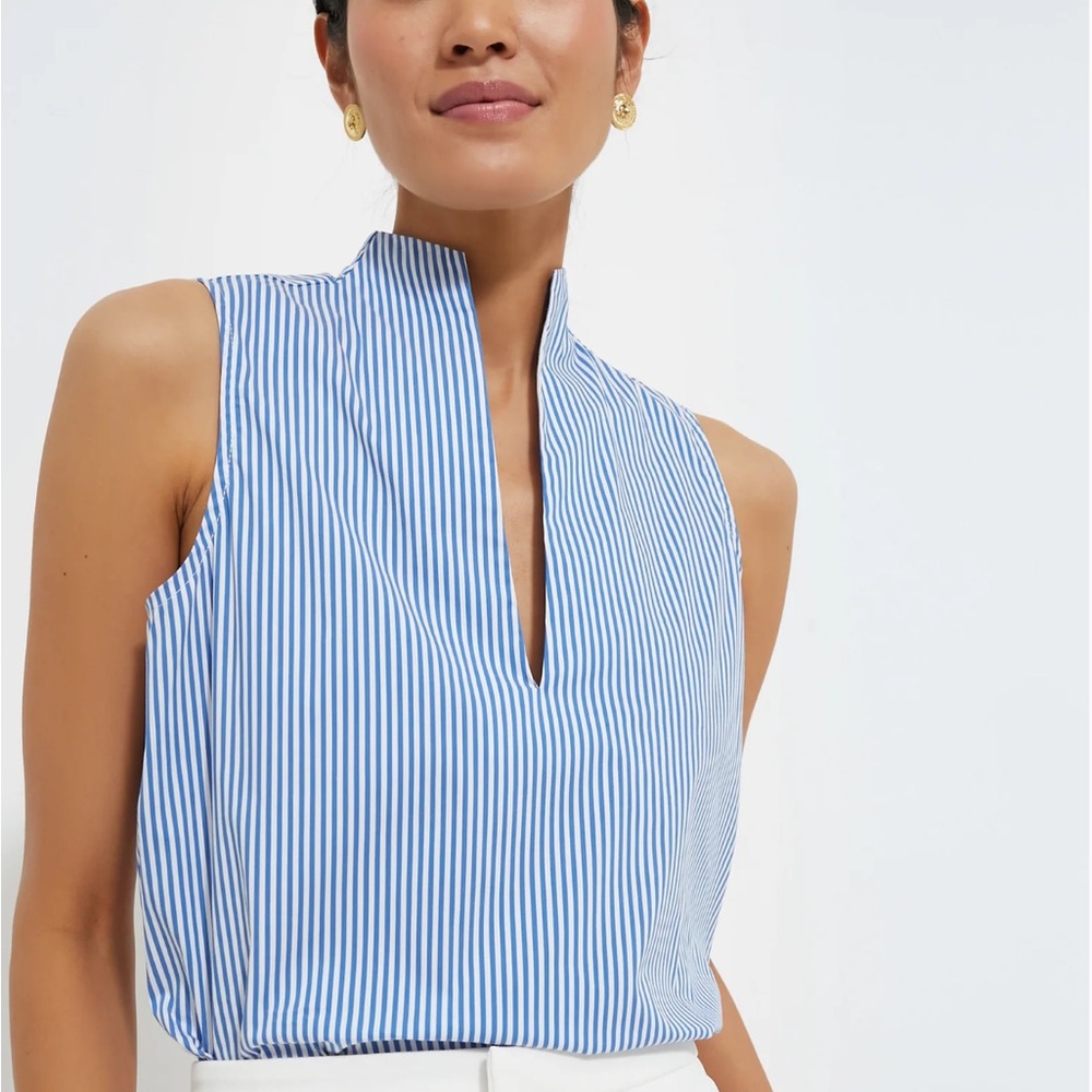 EUC Tuckernuck Blue Stripe Sleeveless Celeste Top, Small